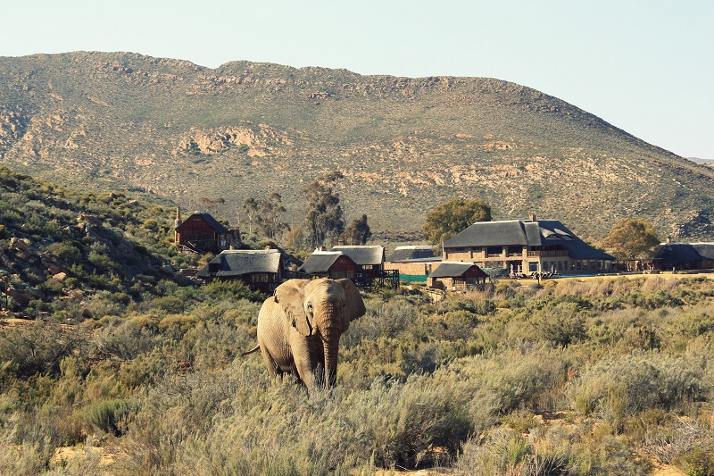 Aquila Private Game Reserve na Cidade do Cabo