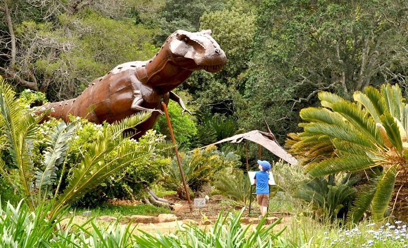 Ir ao Kirstenbosh Botanical Gardens com crianças na Cidade do Cabo