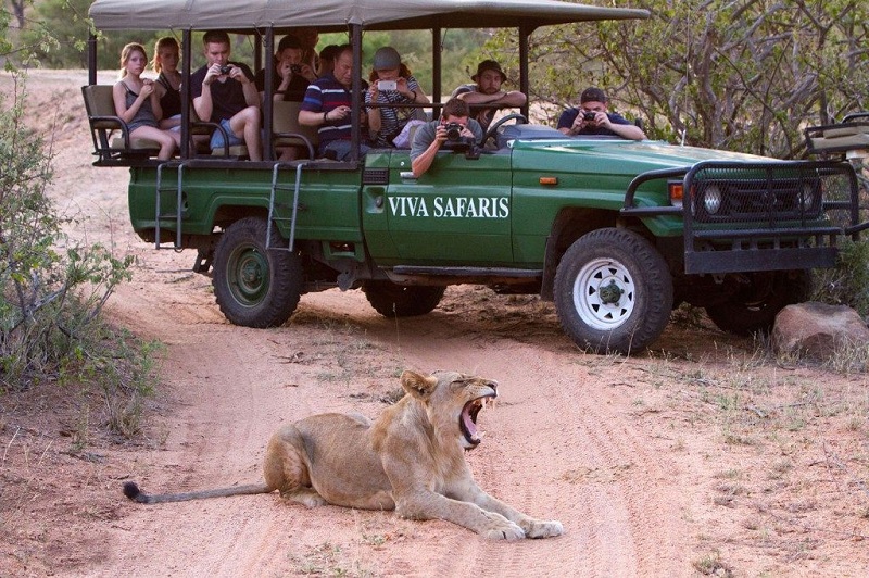 Ir ao safári Kruger National Park em Joanesburgo