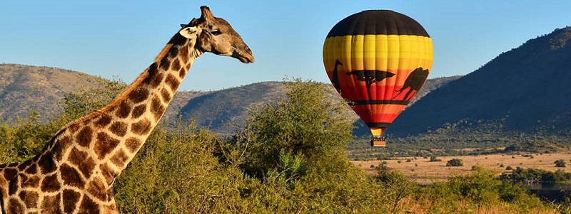 Balão de ar quente em Pilanesberg Joanesburgo