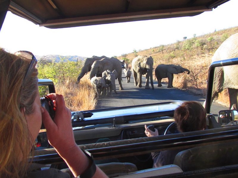 Turistas em Pilanesberg em Joanesburgo