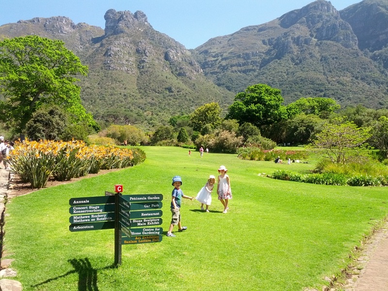 O que fazer e encontrar no Kirstenbosch National Botanical Garden na Cidade do Cabo