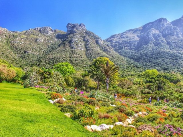 Kirstenbosch National Botanical Garden na Cidade do Cabo