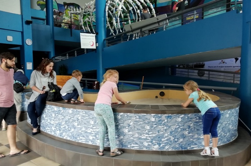 Crianças no Two Oceans Aquarium na Cidade do Cabo