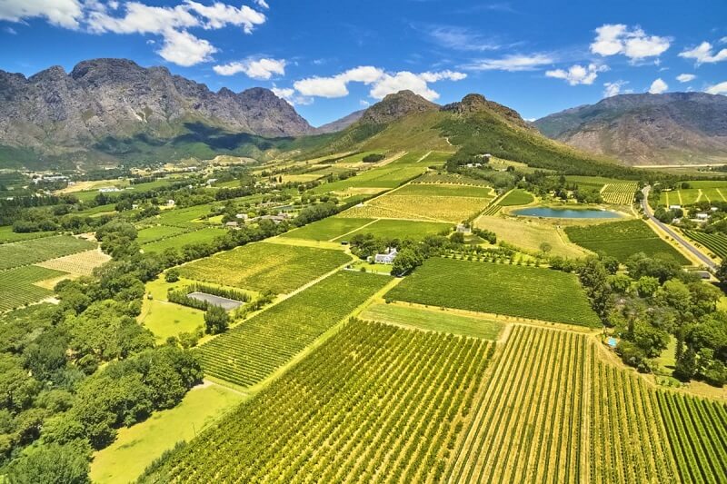 Passeio pelas vinícolas de Stellenbosch nas proximidades da Cidade do Cabo