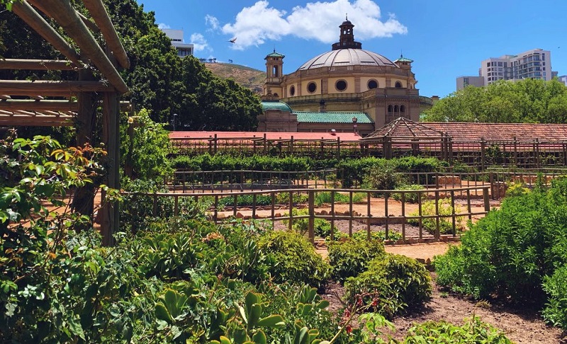 The Company's Garden na Cidade do Cabo