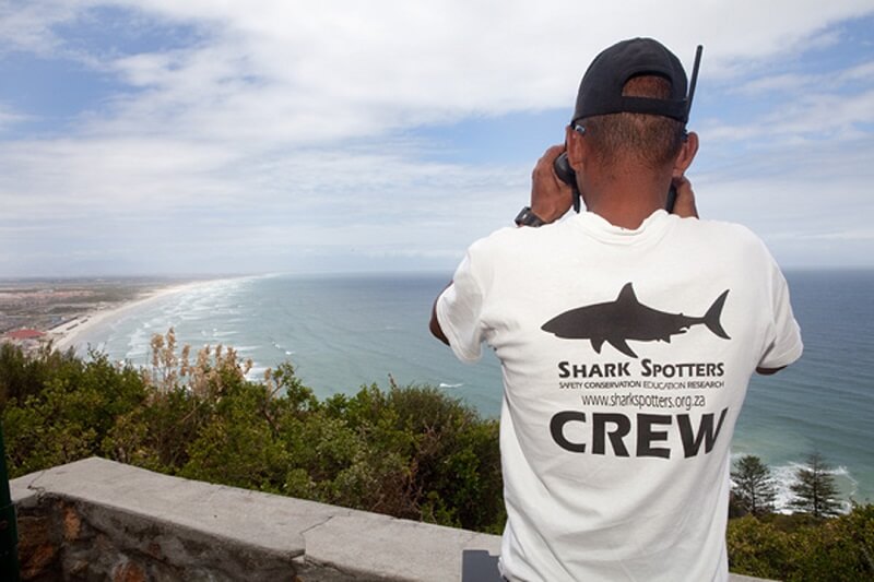 Shark Spotters na Muizenberg Beach