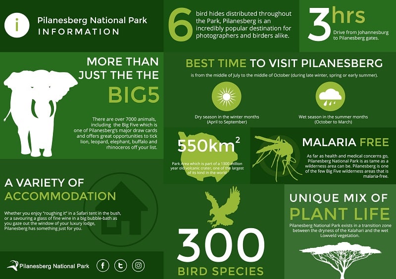 Informações do Pilanesberg National Park