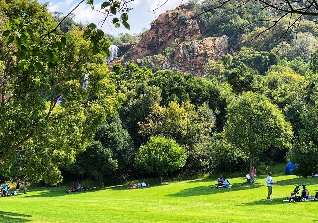 Melhores parques em Joanesburgo