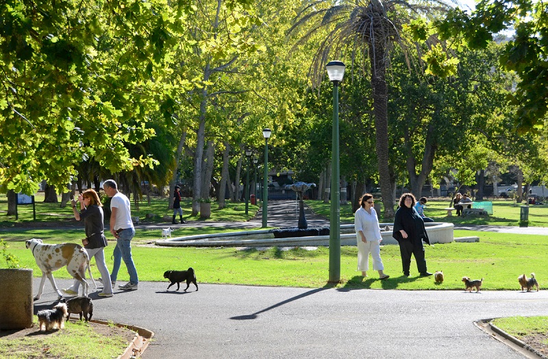 Pessoas em parque na Cidade do Cabo