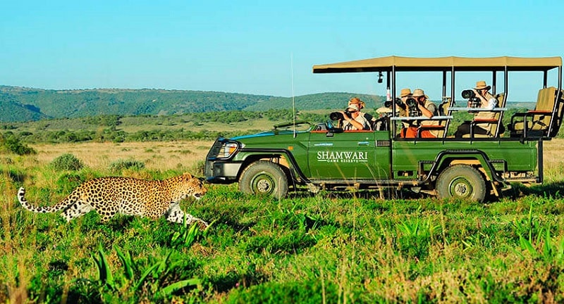 Passeio em Sanbona Wildlife Reserve - Cidade do Cabo