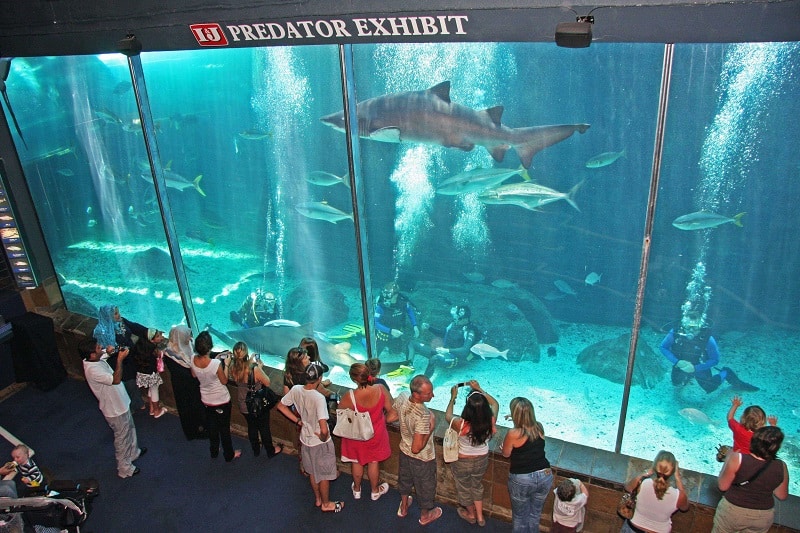 Two Oceans Aquarium - África do Sul